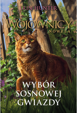 Wybór Sosnowej Gwiazdy