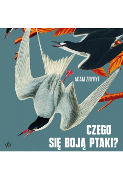 Czego się boją ptaki?