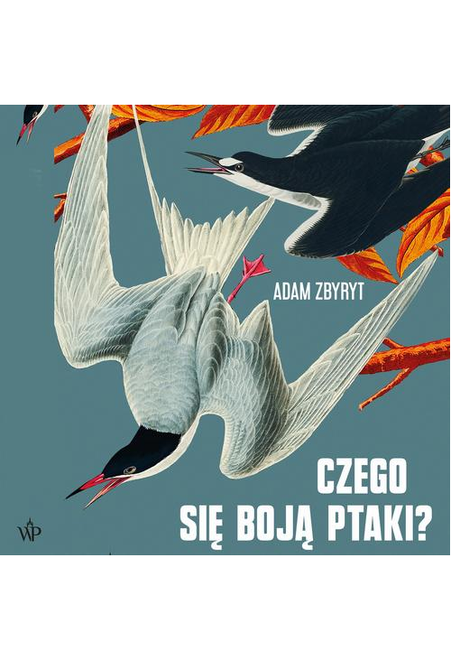 Czego się boją ptaki?