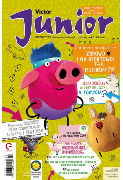 Victor Junior 3/2025