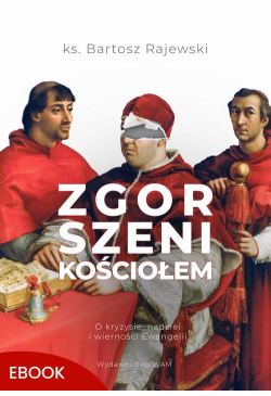 Zgorszeni Kościołem. O...