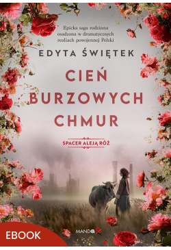 Cień burzowych chmur