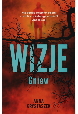 Wizje
