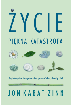 Życie, piękna katastrofa