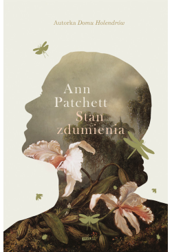Stan zdumienia.