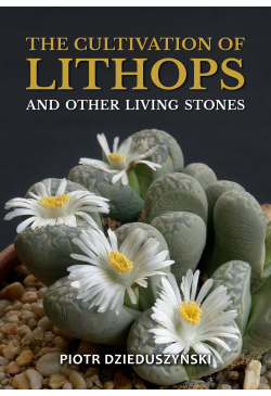 The cultivation of lithops...