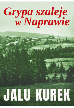 Grypa szaleje w Naprawie