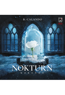 Nokturn