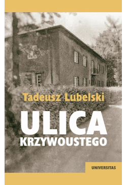 Ulica Krzywoustego