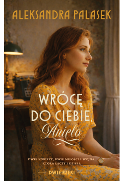 Wrócę do ciebie, Anielo