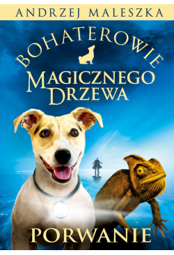 Bohaterowie Magicznego...