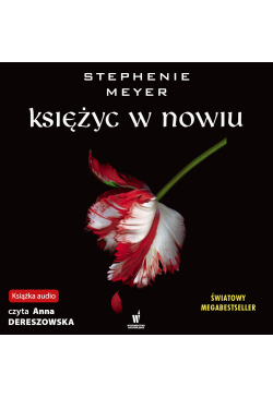 Księżyc w nowiu