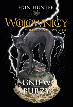 Gniew burzy