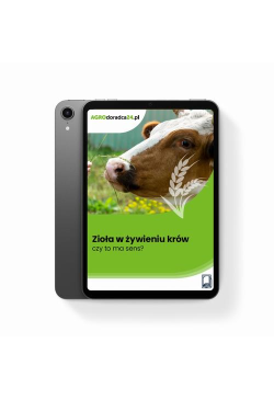 Zioła w żywieniu krów – czy...