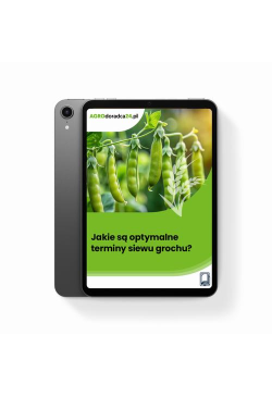 Jakie są optymalne terminy...