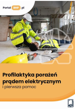 Profilaktyka porażeń prądem...