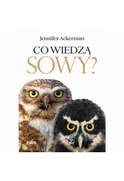 Co wiedzą sowy?
