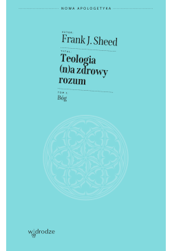 Teologia (n)a zdrowy rozum....