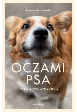 Oczami psa