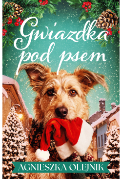 Gwiazdka pod psem