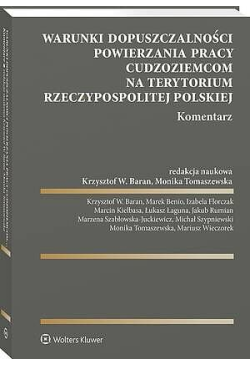 Warunki dopuszczalności...
