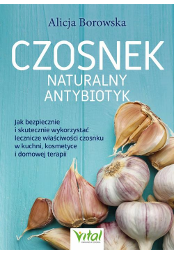 Czosnek. Naturalny antybiotyk