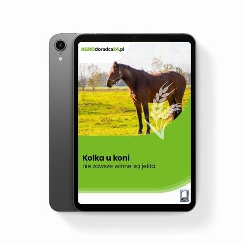 Kolka u koni – nie zawsze winne są jelita — Kinga Szczepanik