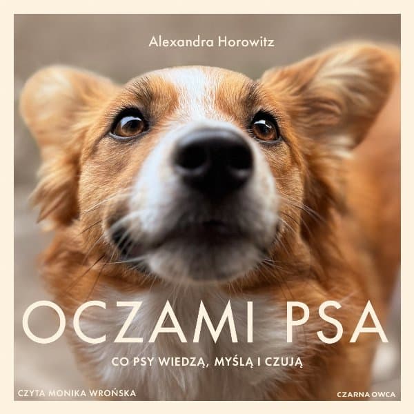 Oczami psa — Alexandra Horowitz