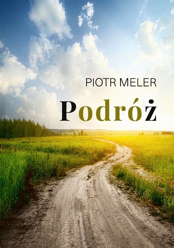 Podróż — Piotr Meler