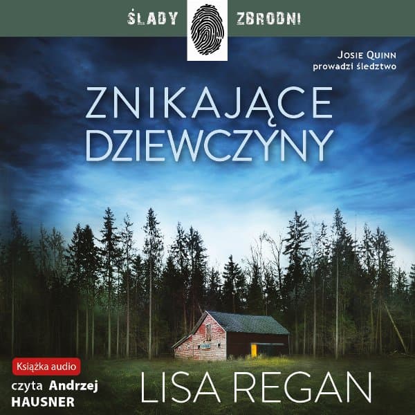 Znikające dziewczyny — Lisa Regan