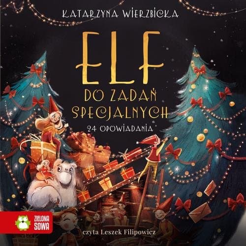 Elf do zadań specjalnych — Katarzyna Wierzbicka