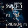 Światło po zmierzchu — Żaneta Pawlik