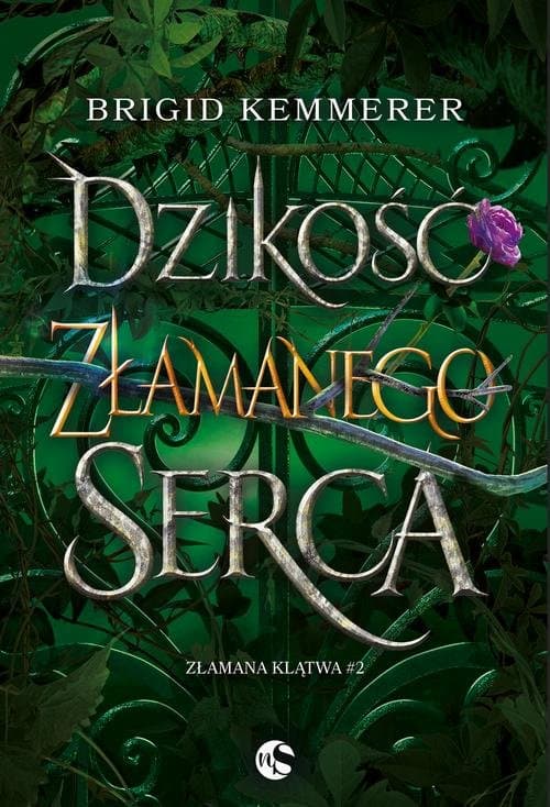 Dzikość złamanego serca — Brigid Kemmerer