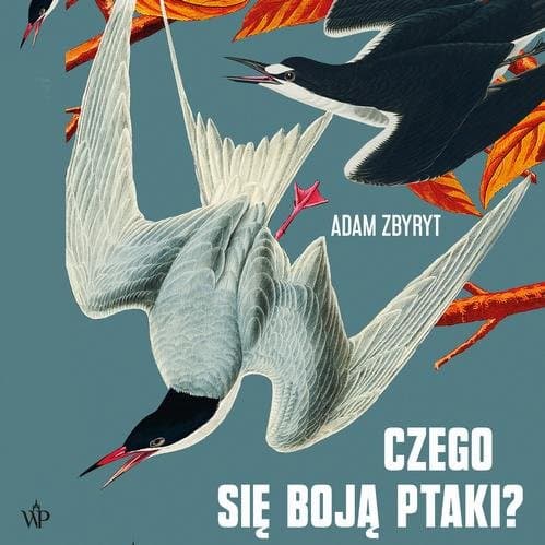 Czego się boją ptaki? — Adam Zbyryt