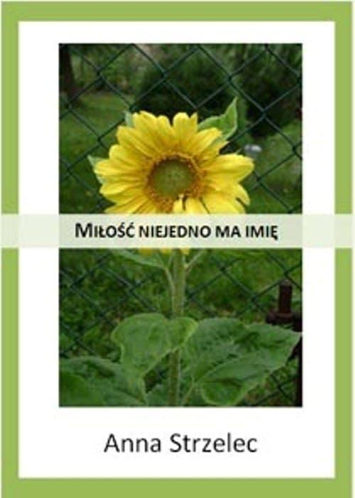 Miłość niejedno ma imię — Anna Strzelec