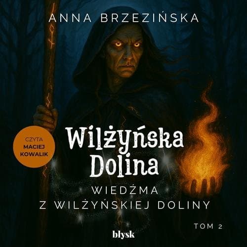 Wiedźma z Wilżyńskiej Doliny — Anna Brzezińska