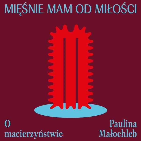 Mięśnie mam od miłości — Paulina Małochleb