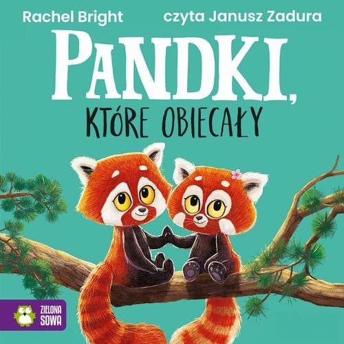 Pandki, które obiecały — Rachel Bright