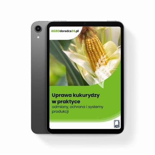 Uprawa kukurydzy w praktyce – odmiany, ochrona i systemy produkcji — Dr Hab. Inż. Paweł K. Bereś, Jolanta Bojarszczuk, Księżak