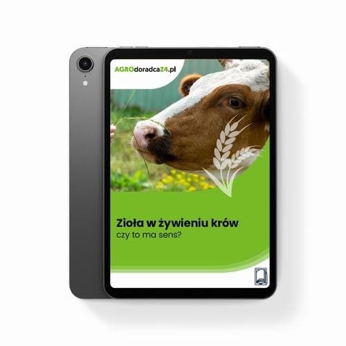 Zioła w żywieniu krów – czy to ma sens? — Joanna Cała
