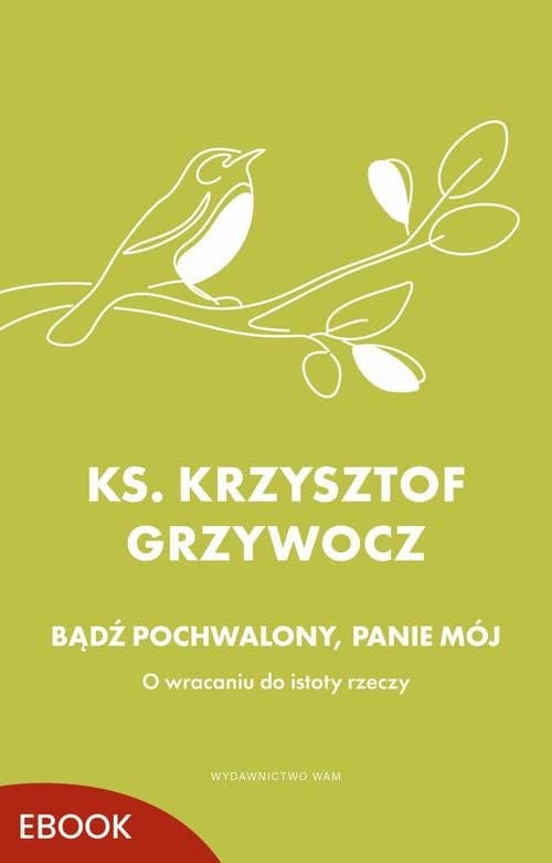 Bądź pochwalony, Panie mój — Ks. Krzysztof Grzywocz