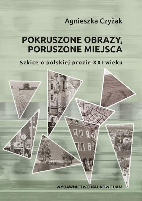 Pokruszone obrazy, poruszone miejsca. Szkice o polskiej prozie XXI wieku — Agnieszka Czyżak