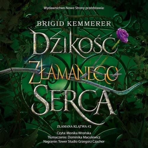 Dzikość złamanego serca (II wydanie) — Brigid Kemmerer