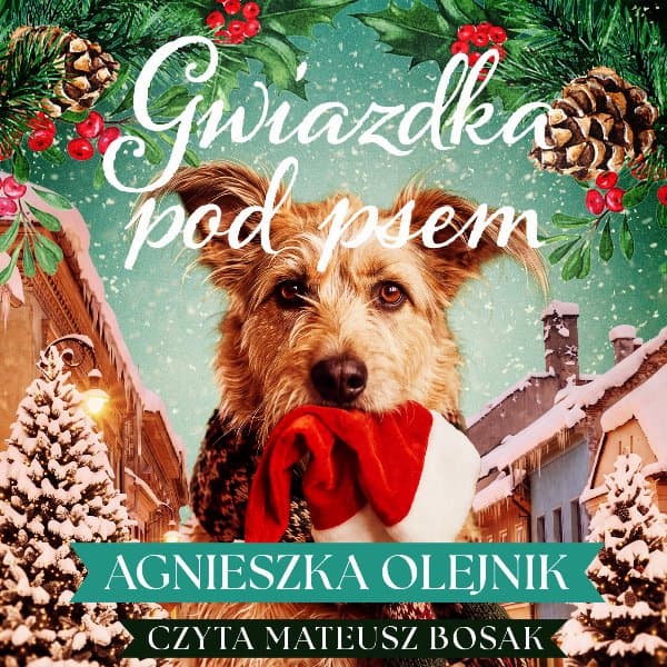 Gwiazdka pod psem — Agnieszka Olejnik
