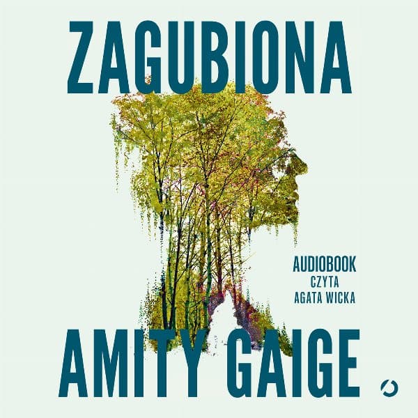 Zagubiona — Amity Gaige