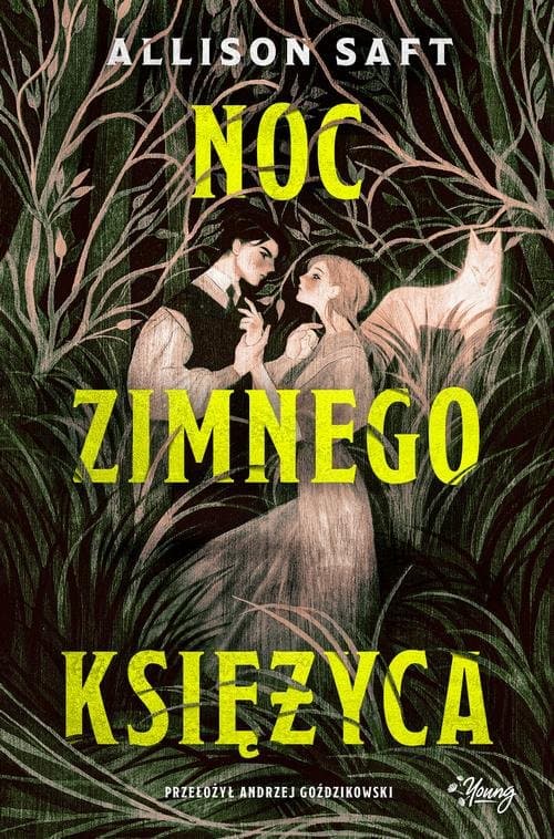 Noc Zimnego Księżyca — Allison Saft