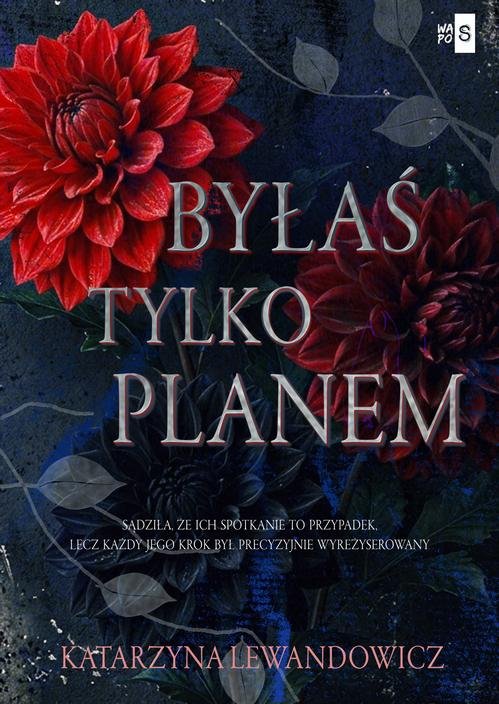 Byłaś tylko planem — Katarzyna Lewandowicz